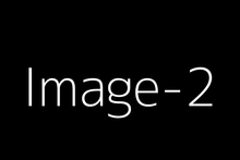 Load image into Gallery viewer, Ditdemo