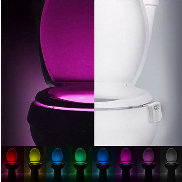 8 Color LED Toilet Light Sensor Motion Activated Glow Toilet Bowl Light Up  Sensing